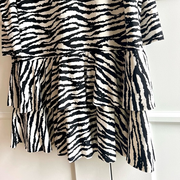 Vintage Bazaar Long Sleeve Zebra Dress - Picture 3 of 5